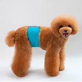 KUTKUT 2Pcs Small Boy Dog Cat Wrap Washable & Reusable Diaper, Male Belly Band Casual Nappy Wrap, Anti Urinary Physiological Pants Underwear for Small Boy Dogs Cats - kutkutstyle
